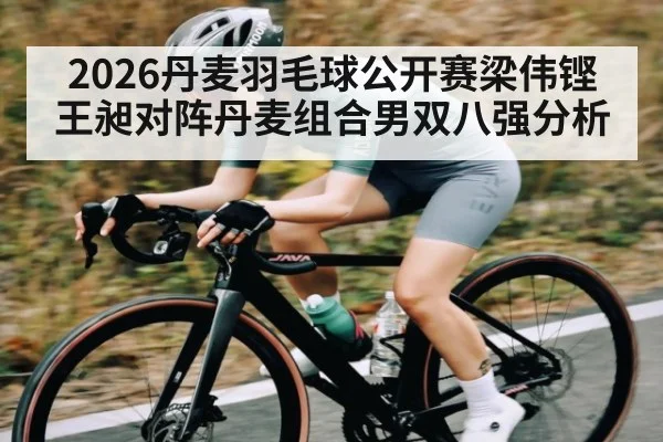 2026丹麦羽毛球公开赛梁伟铿王昶对阵丹麦组合男双八强分析